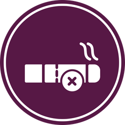 No Smoking  Icon