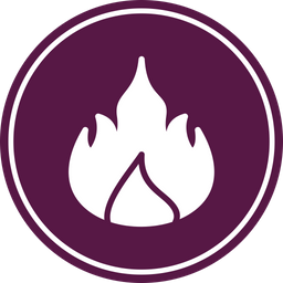 Fire  Icon