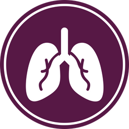 Lungs  Icon