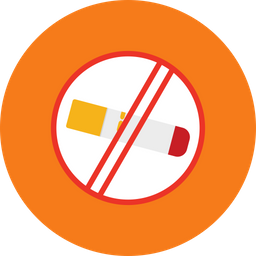 No Smoking  Icon