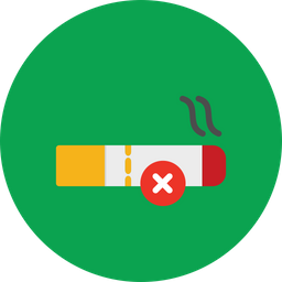 No Smoking  Icon