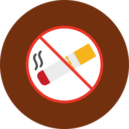 No Smoking  Icon