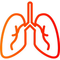 Lungs  Icon