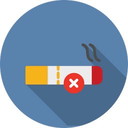 No Smoking  Icon