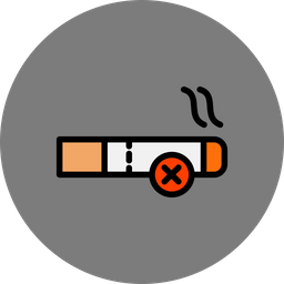 No Smoking  Icon