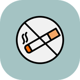 No Smoking  Icon