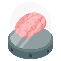 Brain  Icon