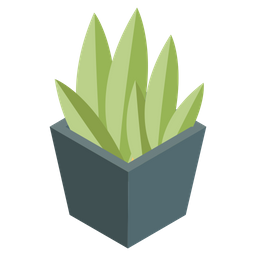 Aloe Vera Plant  Icon