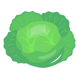 Cabbage  Icon