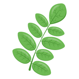 Fenugreek  Icon