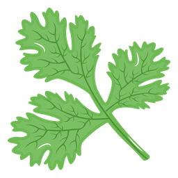 Cilantro  Icono