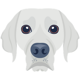 Dog  Icon