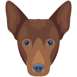 Dog  Icon