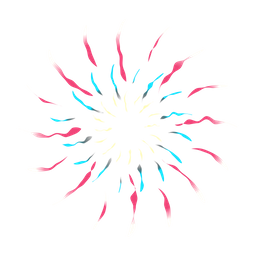 Firework  Icon