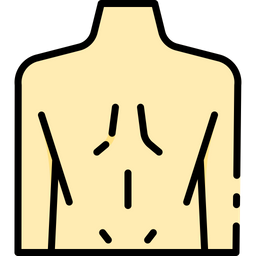 Back body  Icon