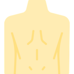 Back body  Icon