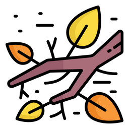 Branch leaves  Icon