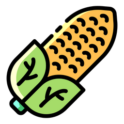 Corn  Icon