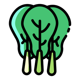 Cabbage  Icon