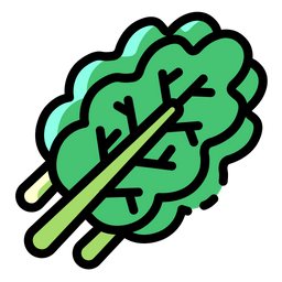 Kale  Icon