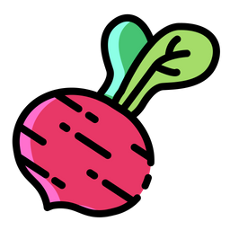 Beet  Icon