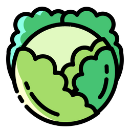 Cabbage  Icon