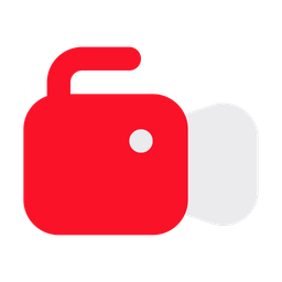 Camera  Icon