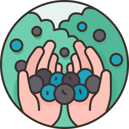 Berries  Icon