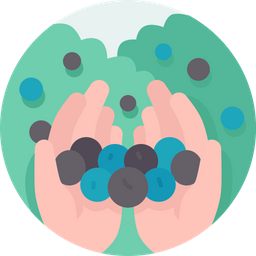 Berries  Icon