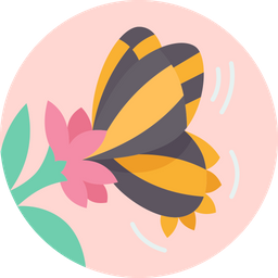 Butterflies  Icon