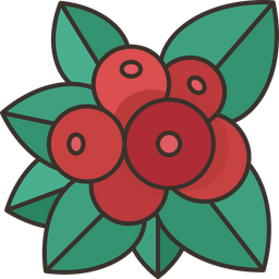 Bunchberry  Icon