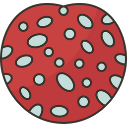 Buffaloberry  Icon