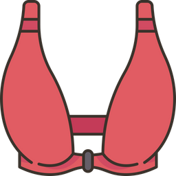 Front bra  Icon