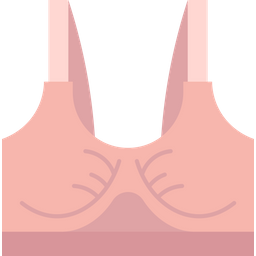 Nursing bra  Icon