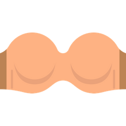 Convertible bra  Icon