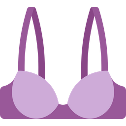 Demi bra  Icon