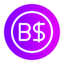 Brunei Dollar  Icon