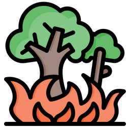 불타는 나무  아이콘