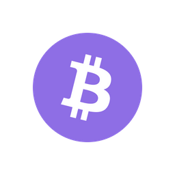 Btc  Icon