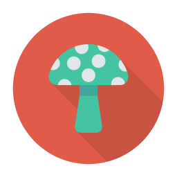 Mushroom  Icon