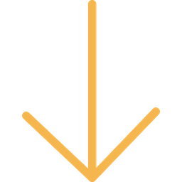 Bottom Arrow  Icon