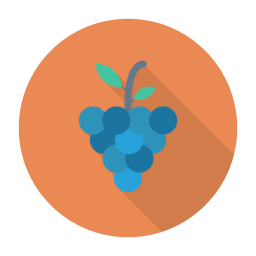 Grapes  Icon