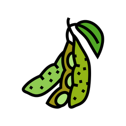 Soy Leaf Soy Plant Icon