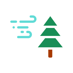 Christmas Tree  Icon