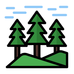 Forest  Icon