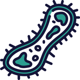 Bacteria  Icon