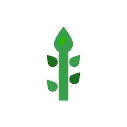 Asparagus  Icon