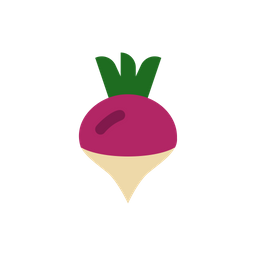 Beetroot  Icon