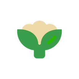 Cauliflower  Icon