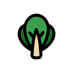 Bok Choy  Icon